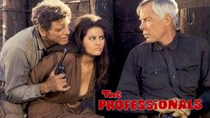 The Professionals