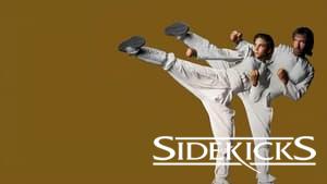Sidekicks