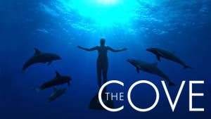 The Cove