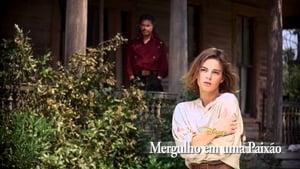 Wild Hearts Can't Be Broken