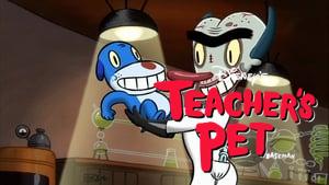 Teacher's Pet