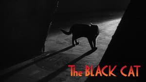 The Black Cat