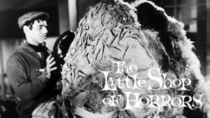 The Little Shop of Horrors
