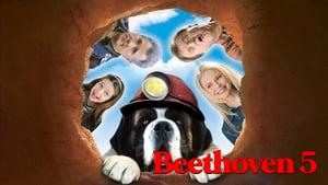Beethoven's 5th