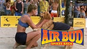 Air Bud: Spikes Back