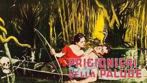 Lure of the Wilderness