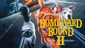 Homeward Bound II: Lost in San Francisco