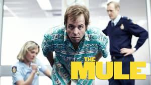 The Mule