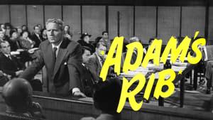 Adam's Rib