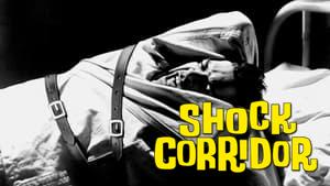 Shock Corridor