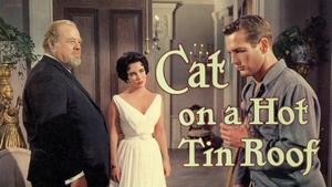 Cat on a Hot Tin Roof