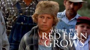 Where the Red Fern Grows