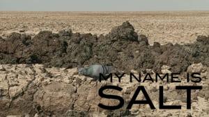 My Name Is Salt