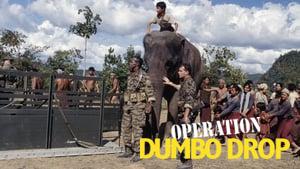 Operation Dumbo Drop