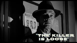 The Killer Is Loose