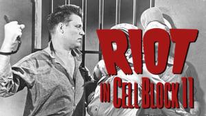 Riot in Cell Block 11