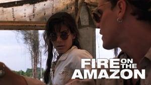 Fire on the Amazon