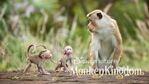 Monkey Kingdom