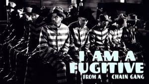 I Am a Fugitive from a Chain Gang
