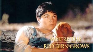Where the Red Fern Grows