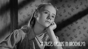 A Tree Grows in Brooklyn