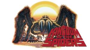 Kingdom of the Spiders