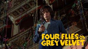 Four Flies on Grey Velvet