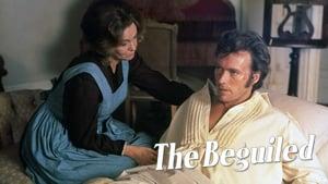 The Beguiled