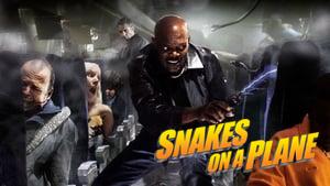Snakes on a Plane
