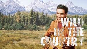 Wild in the Country