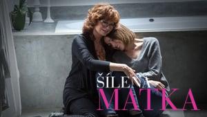 The Meddler