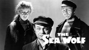 The Sea Wolf