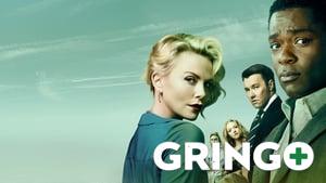 Gringo