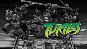 Turtles Forever