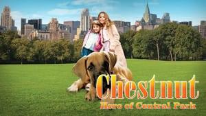 Chestnut: Hero of Central Park