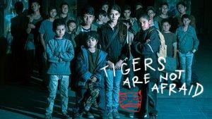 Tigers Are Not Afraid