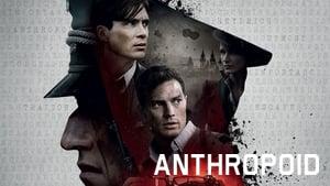 Anthropoid