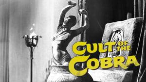 Cult of the Cobra