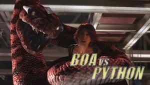 Boa vs. Python