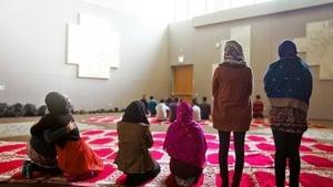 Homegrown: The Counter-Terror Dilemma