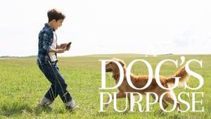 A Dog's Purpose