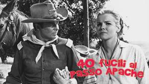 40 Guns to Apache Pass