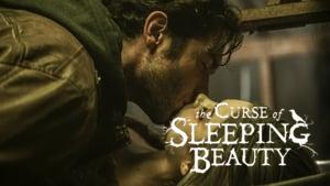 The Curse of Sleeping Beauty