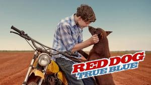 Red Dog: True Blue