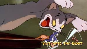 Puss Gets the Boot