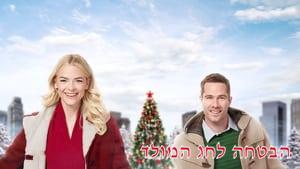 The Mistletoe Promise
