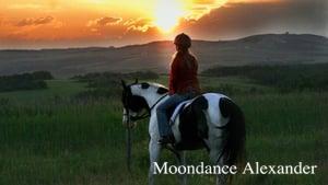 Moondance Alexander