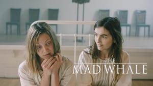 The Mad Whale