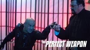 The Perfect Weapon