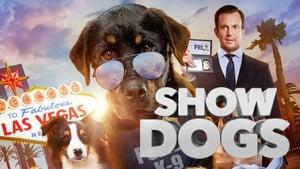 Show Dogs